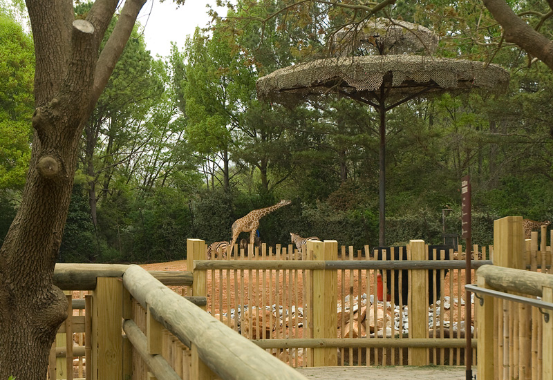 Zoo Atlanta Savanna Terrace