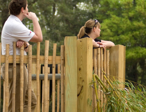 Twiga Terrace at Zoo Atlanta